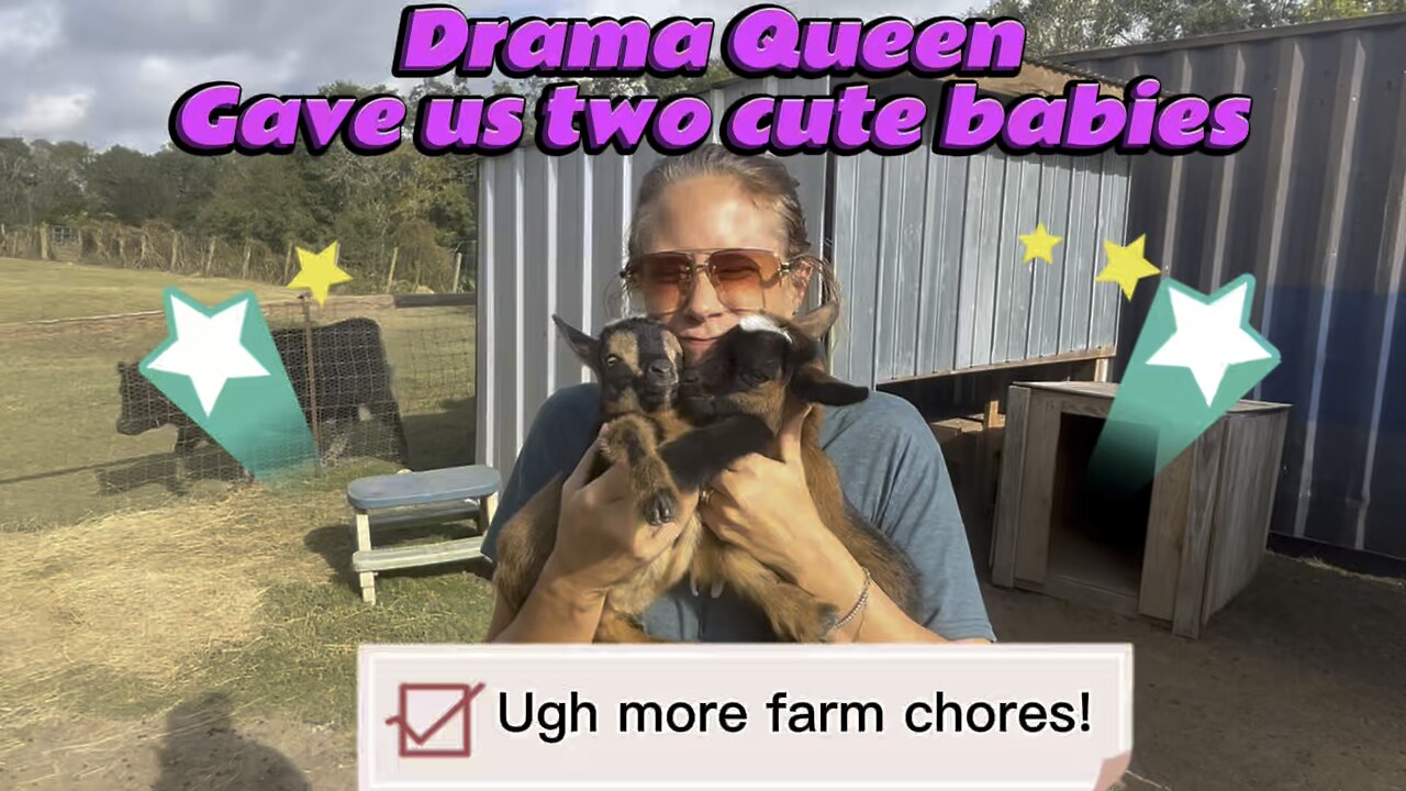 Something weird happened on the farm today while Kristen did more of the morning chores.