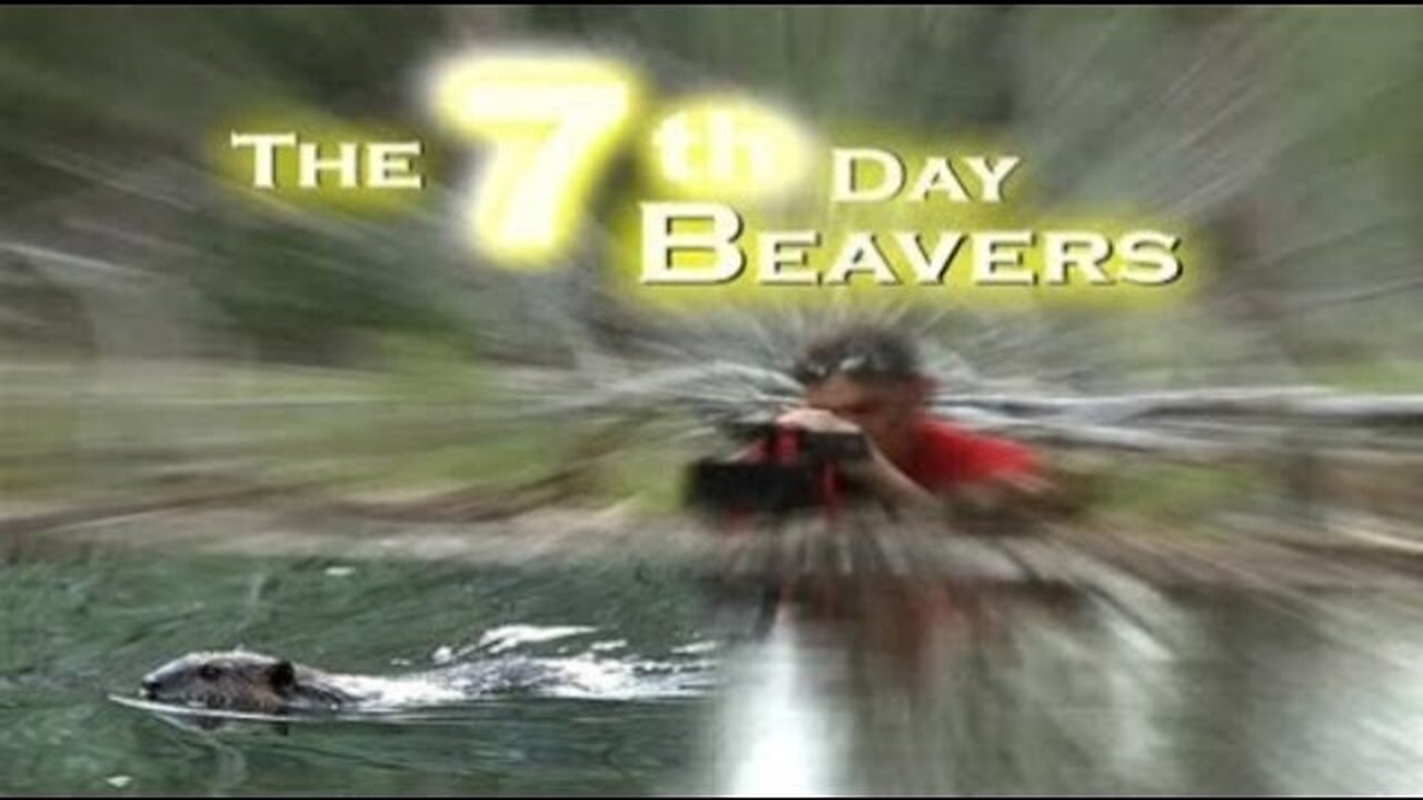 The 7th Day Beaver Documentary