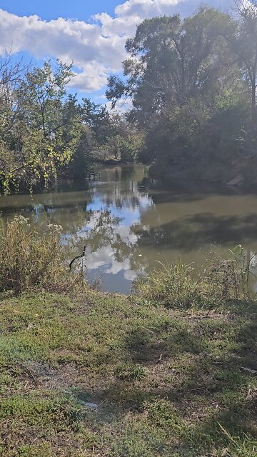 Ducks at a Bend in Salt Creek