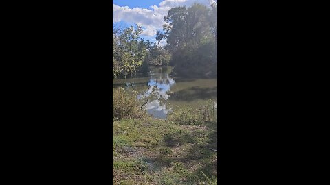 Ducks at a Bend in Salt Creek