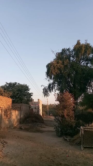 good morning dear all my friends