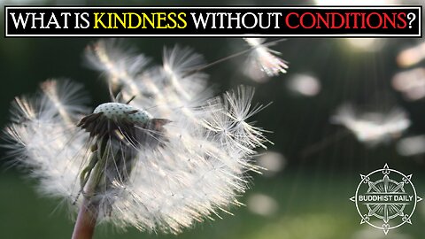 What is Kindness without Conditions? The Buddha’s Powerful Lesson - Lama Dawa's Commentary