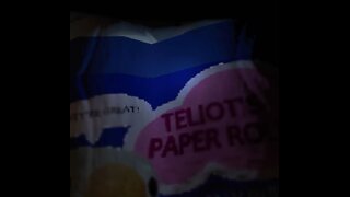 The Worst Way To Hold Toilet Paper - Lethal Company