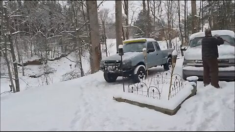 🛑 DANGER RANGER (KICK) 10 INCHES & GROWING 1-31-26