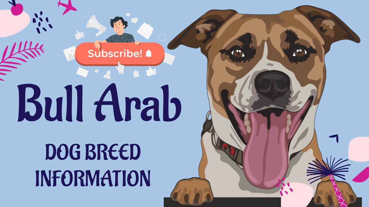 Bull Arab Dog Breed: A Comprehensive Guide to Characteristics, Care, and Compatibility