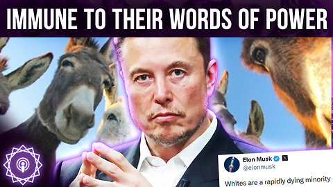 Elon Doesn't Care Anymore