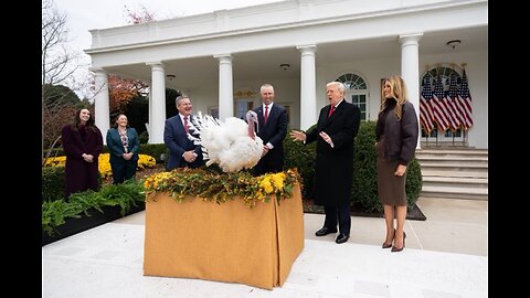 Rooster - (Soul Cover)