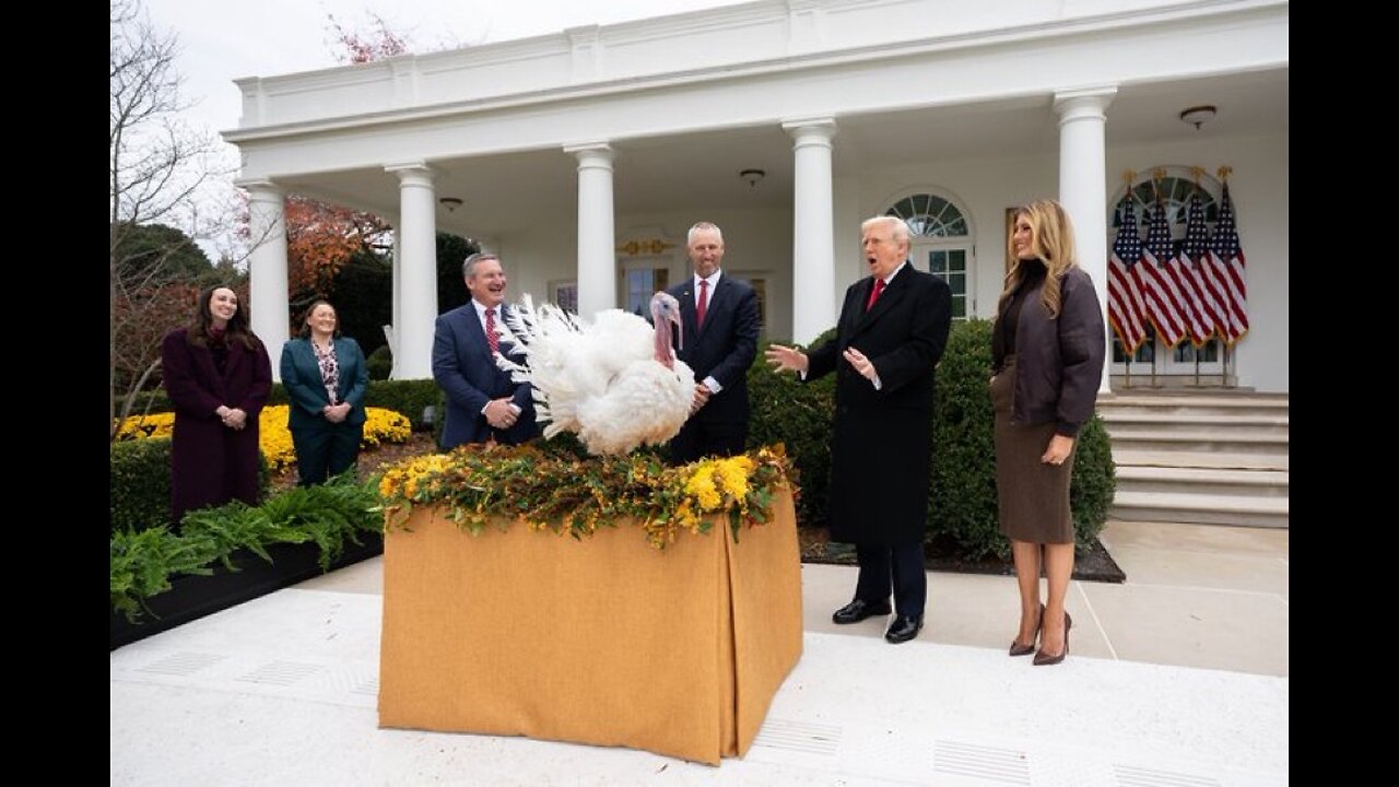 Rooster - (Soul Cover)