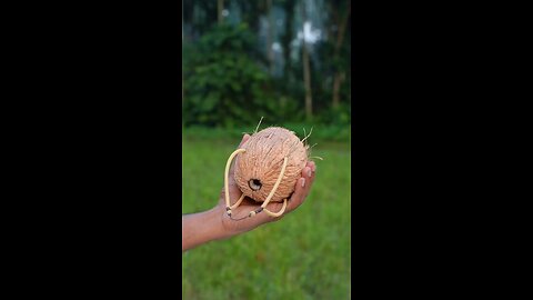 Coconuts Made Toys