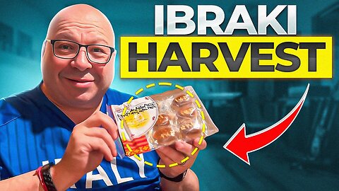 Unboxing the Ibaraki Harvest Sakuraco Box! 🌾 (October 2022 Japanese Snacks)