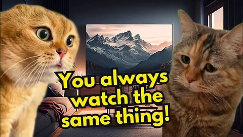 When a Cat Can't Take Any More Romantic Comedies (Ep.45)