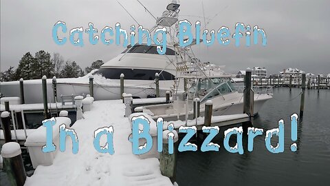 Catching Bluefin Tuna in a Blizzard!!