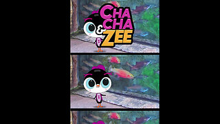 ChaCha & Zee Discover Friendly Orange Fish || Discover Magic with Friendly Orange Fish