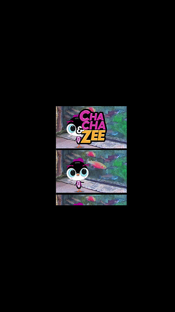 ChaCha & Zee Discover Friendly Orange Fish || Discover Magic with Friendly Orange Fish