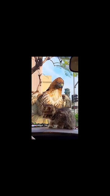 It's good that it's behind glass!