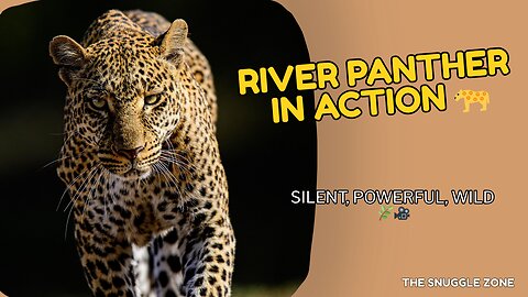 THE RIVER PANTHER 🐆🌿 | Leopard’s Stunning Walk Through Water
