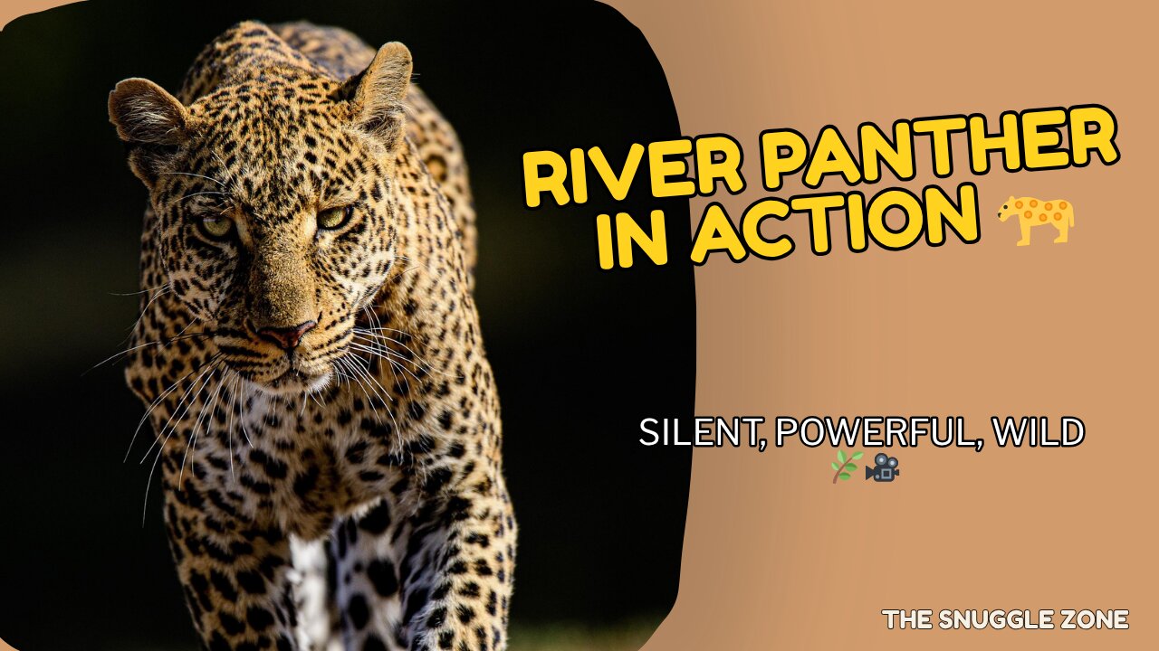 THE RIVER PANTHER 🐆🌿 | Leopard’s Stunning Walk Through Water