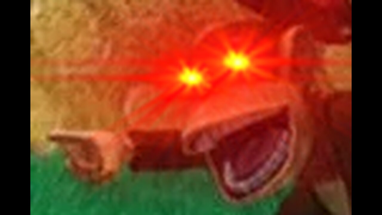 when you fart but it burns (Archived)