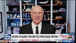 Mr Wonderful: We'll Save TikTok