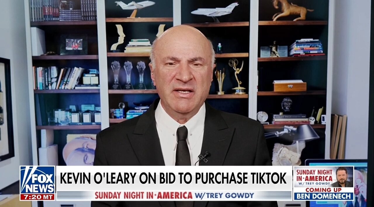 Mr Wonderful: We'll Save TikTok