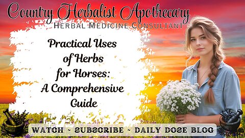 Practical Uses of Herbs for Horses: A Comprehensive Guide