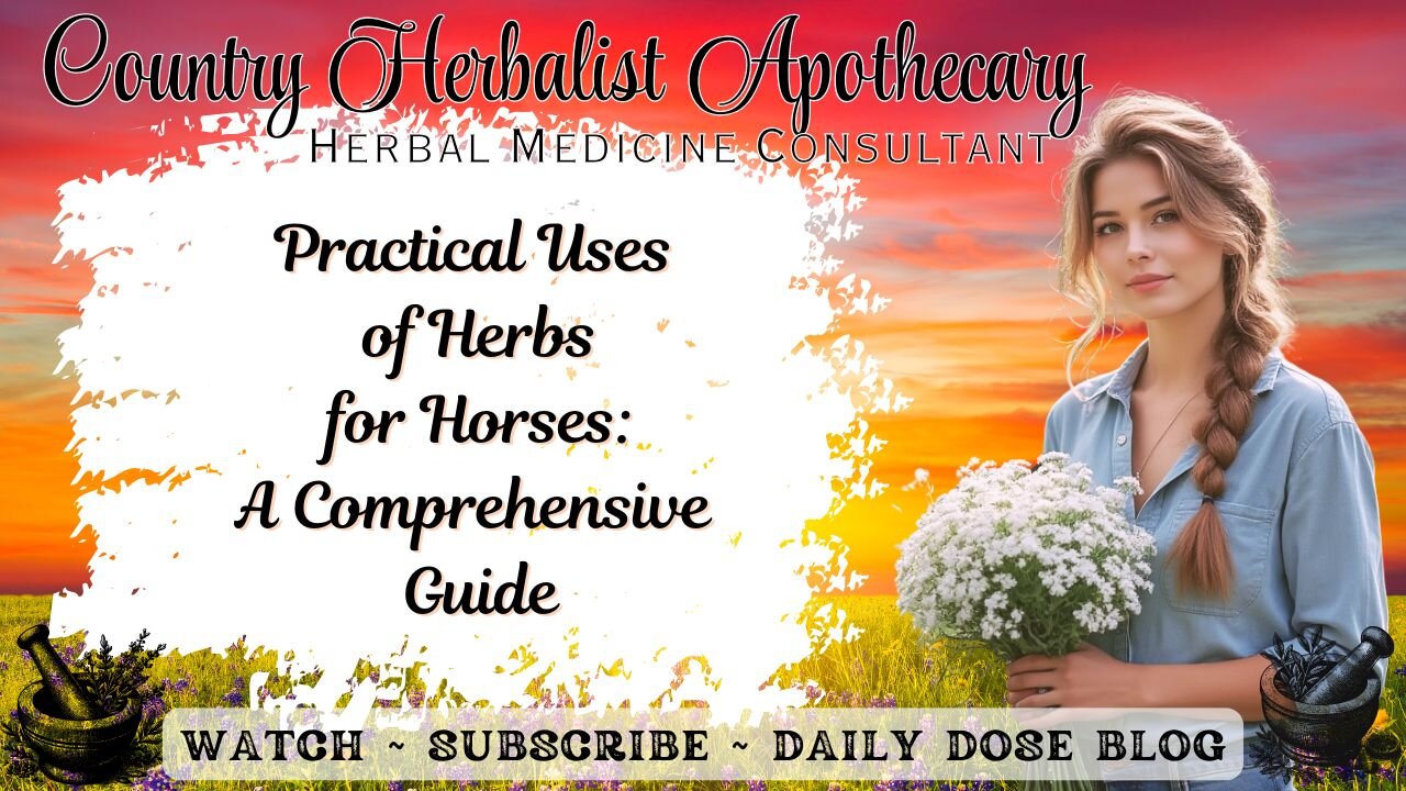 Practical Uses of Herbs for Horses: A Comprehensive Guide