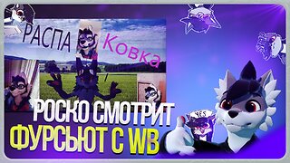 🐺 Роско смотрит SSSNIPERWULFRU - ПАРТИАЛ РАСПАКОВКА FURRY FOX BLUE С Валберис