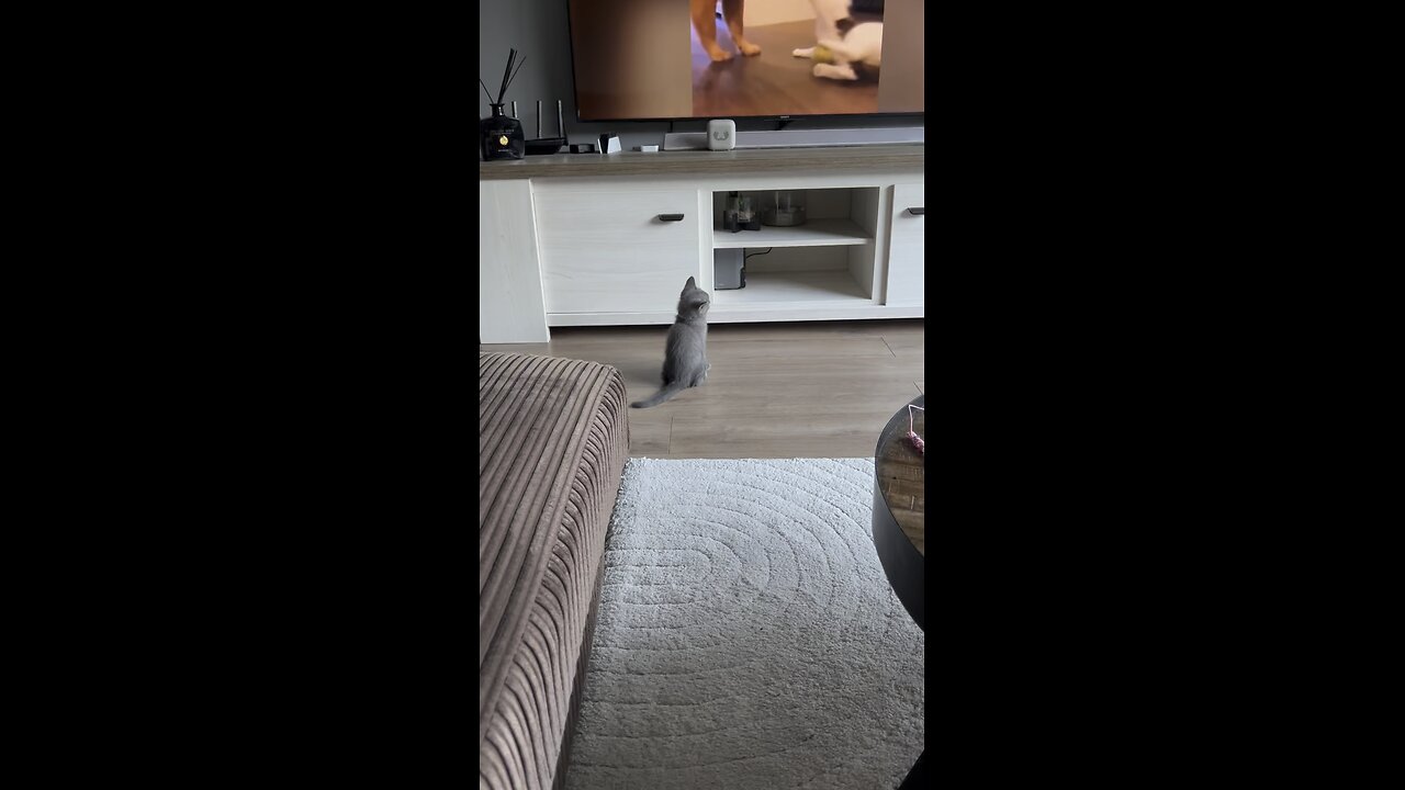 Gizmo watch tv