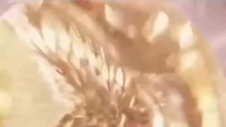 Ain't Nobody Got Time For That