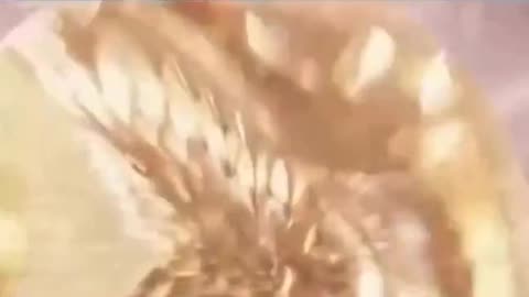 Ain't Nobody Got Time For That