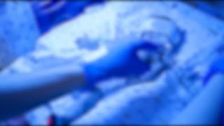 Wendy Williams Finally Gives Details What Beyonce Did For Epstein.