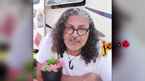 Narcissist Chronicles