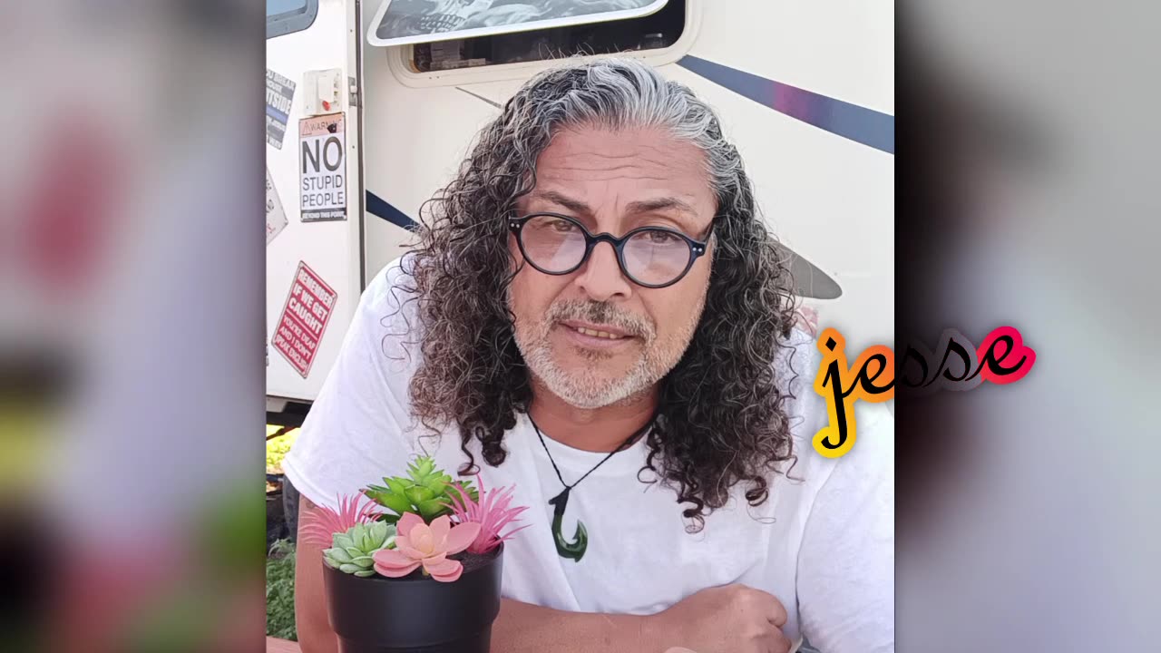 Narcissist Chronicles