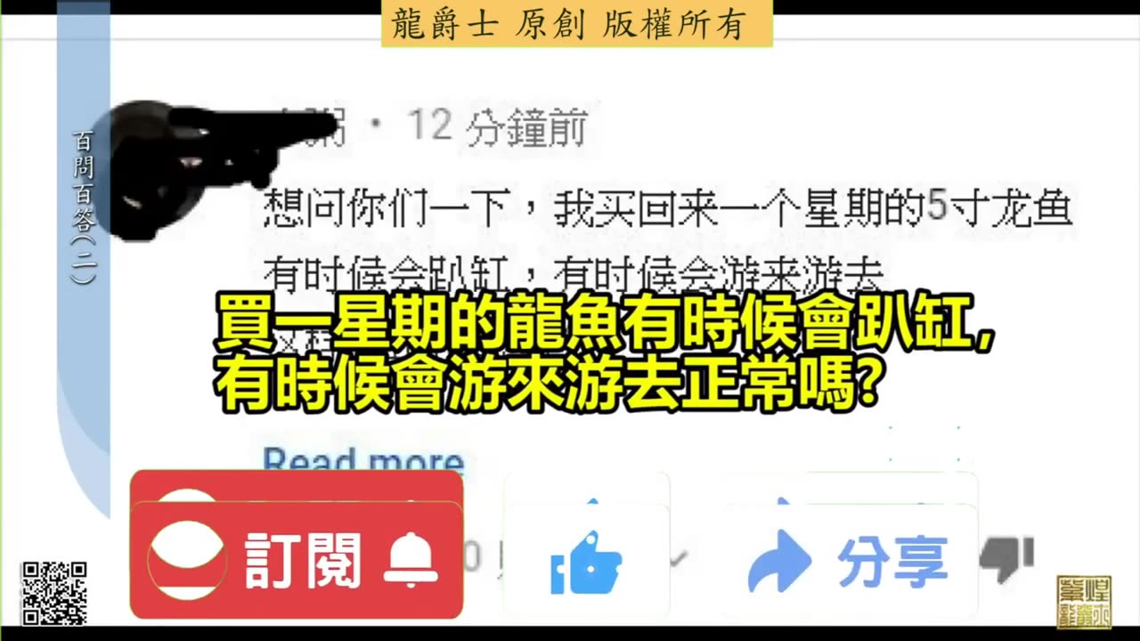 【龍爵士】千問千答 Q7 買一星期的龍魚有時候趴缸有時候游來游去正常嗎