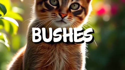 Why Do Cats Flick Their Ears ?