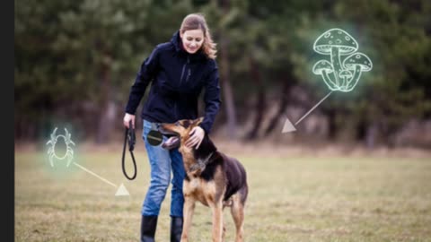 GandalphPets dot com