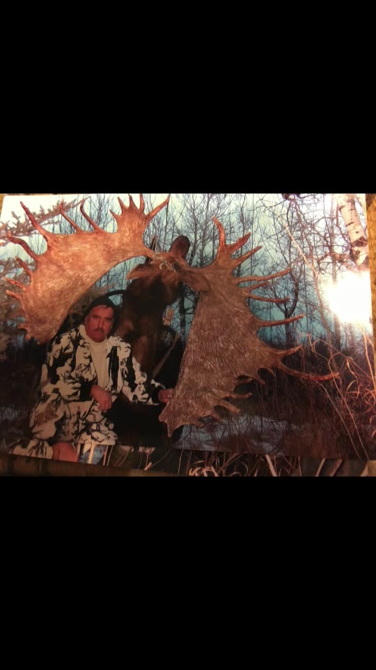 35 pt. 75 inch ALBERTA MOOSE