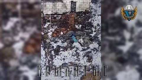 Ukraine war combat footage 12/29/24