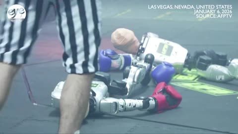 Humanoid Robots Throw Punches at CES — This Is Where Robotics Is Headed