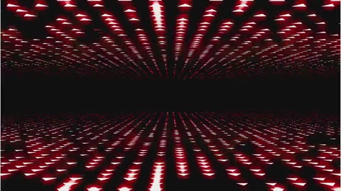 Tommy Goes To College