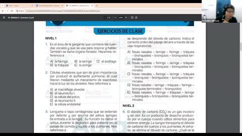 AULA 20 REGULAR 2025 - 1 | Semana 06 | Anatomía