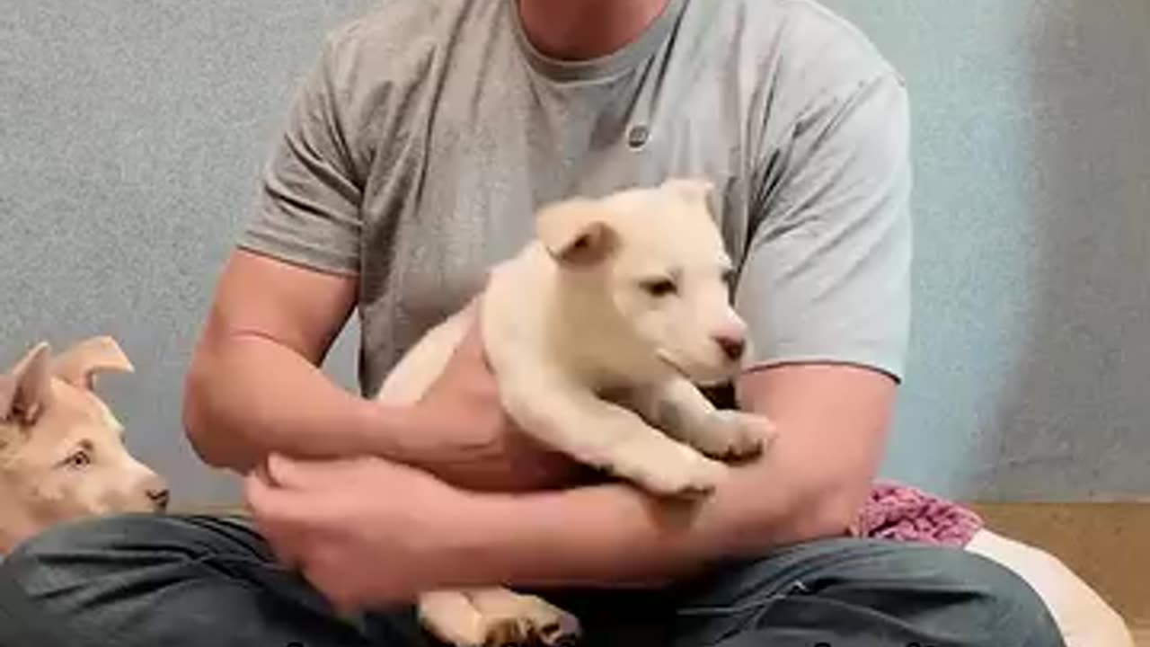 The Moment I Figure Out Why They Can't Walk