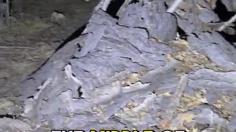 😱👤 Cursed Man Ignores Deadly Warnings! What Happens Next? | TheHauntingHour
