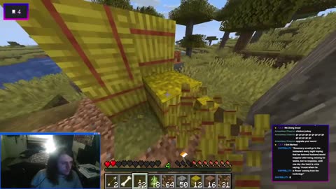 Minecraft Java Edition Horizontal