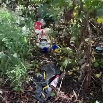 Brampton in Canada is dying. The air is thick with the stench of poo...