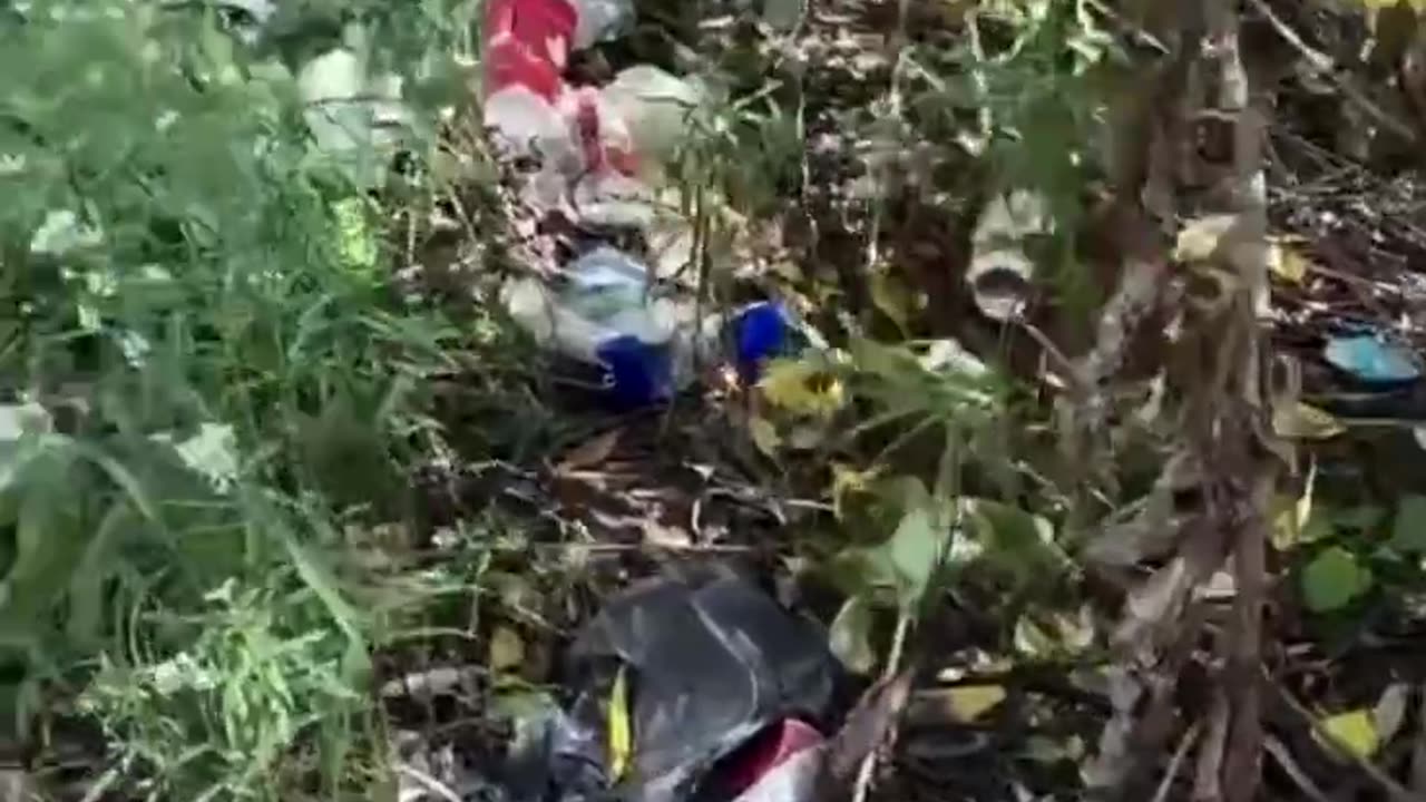 Brampton in Canada is dying. The air is thick with the stench of poo...