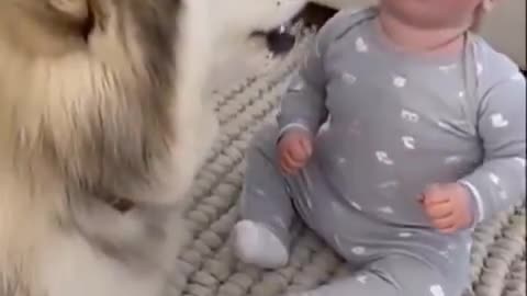 A mother is always a mother, she defends her children to the end 😳👏