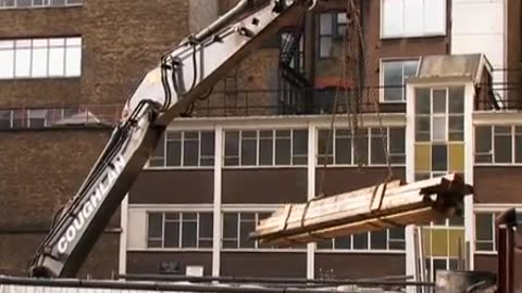 Disturbance-Judi Bowker