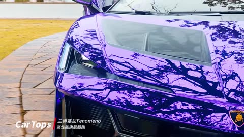😎✨ Is This the Most EXCLUSIVE Lamborghini EVER? | LuxurySportsCars