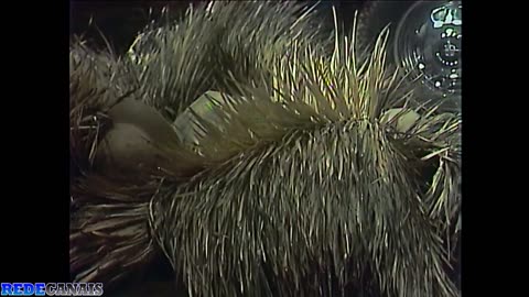 08 - expedição arqueológica